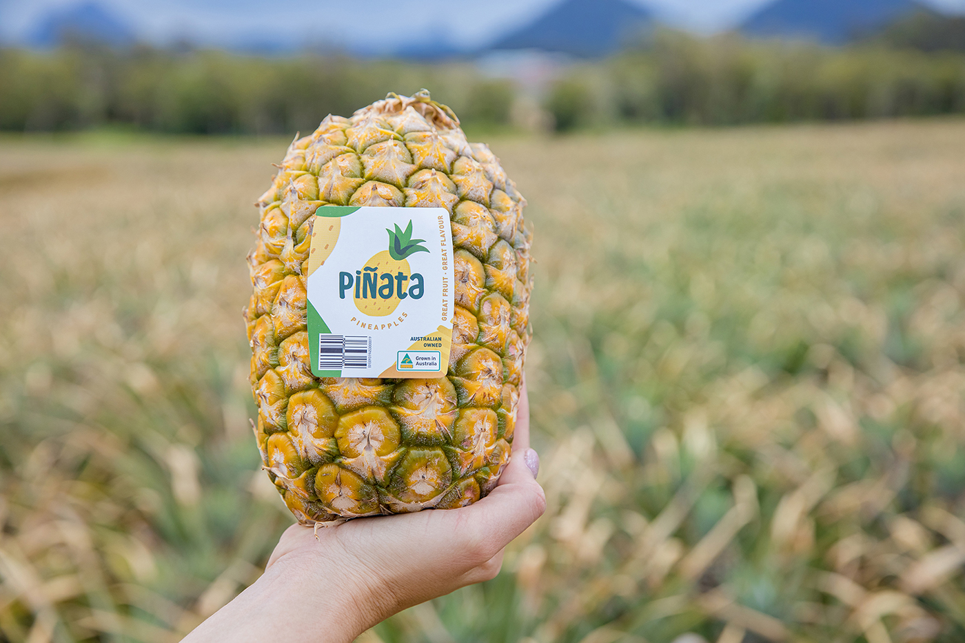 Piñata Farms Packaging Design