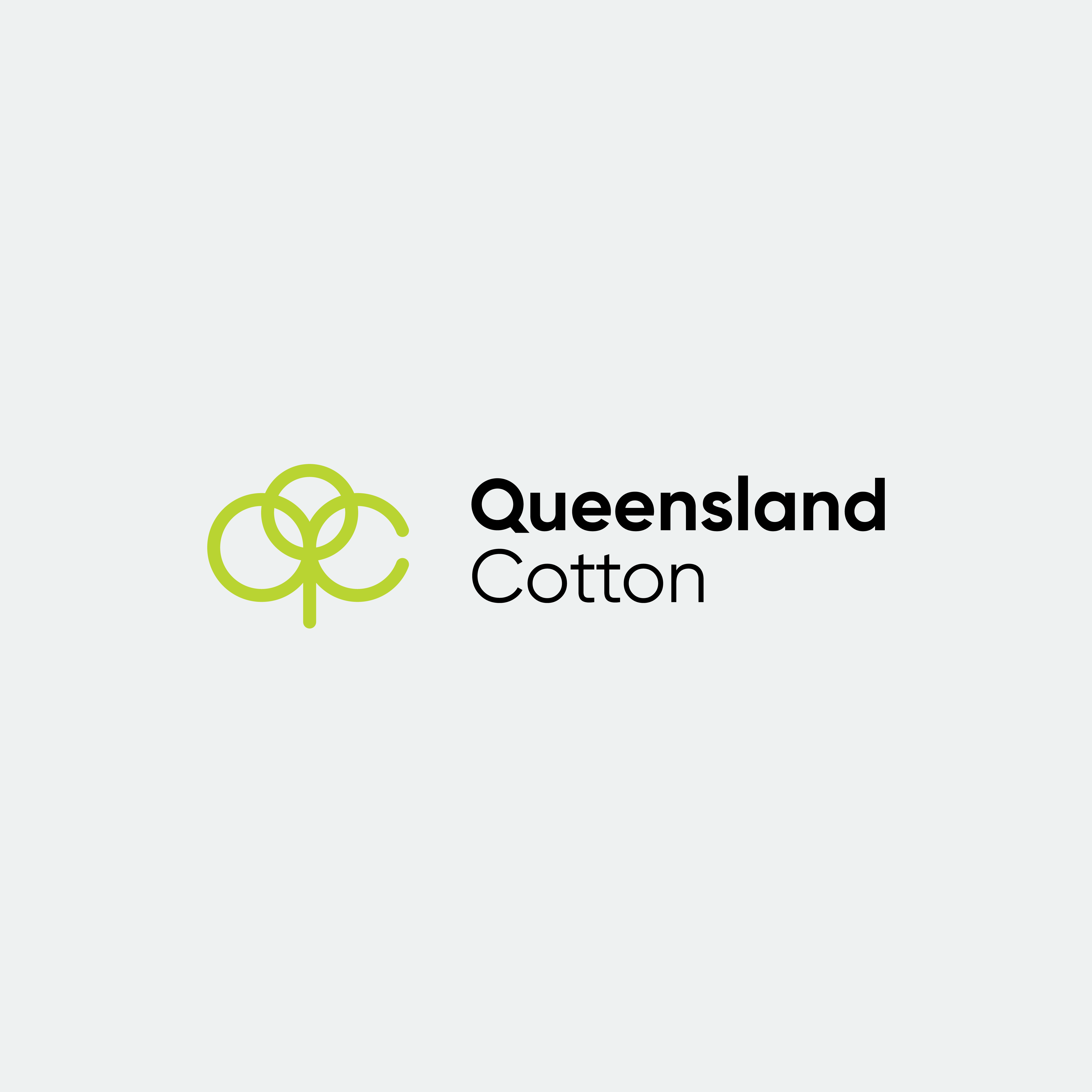 Logo design for Queensland Cotton and Brand Strategy